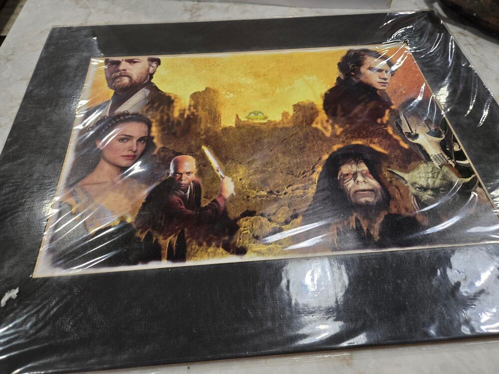 Vintage Star Wars Attack of the Clones Art Work NOS Wallhanging 2006 Matted